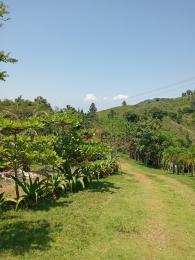 HERMOSA FINCA GANADERA