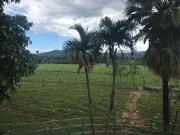 FINCA GANADERA 500 TAREAS