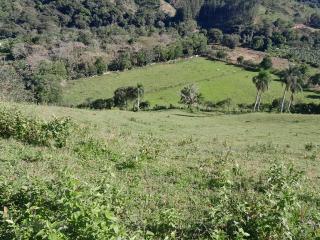 FINCA GANADERA O AGRICULTURA SAN JOSE OCOA