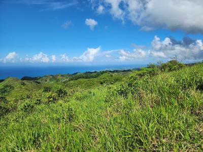 TERRENO EN VENTA CON VISTA AL MAR SÁNCHEZ SAMANA